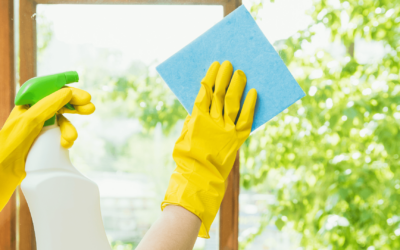 Ako účinne vyčistiť okná od čmúch? Jednoduché tipy a triky.